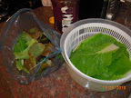 Half dozen 10-week Korean curl lettuces, and 1.5 chinese cabbages from outdoors