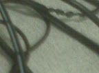 IMG00003.jpg