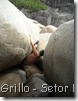 Setor Fonte de Aguas Vivas 030