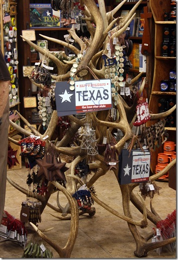 Texas christmas tree_picnik