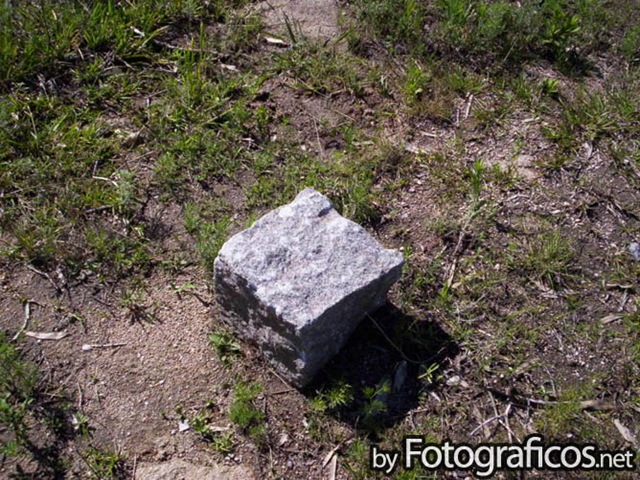 [100_0248[2].jpg]