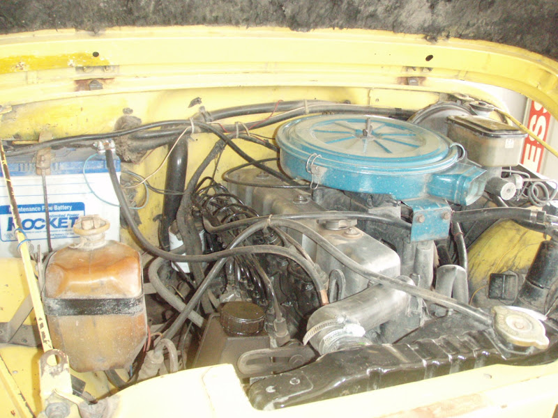 PB180591.JPG