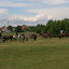 Noc Świętojańska 2007