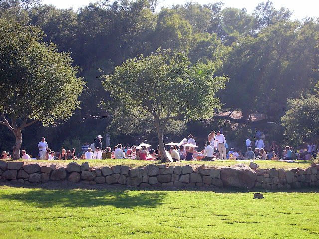 Picnic Weddings photo 139051-4