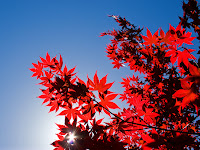 Alumrockpark 039.JPG Photo