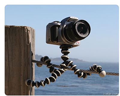 [gorilla_pod_slr1[6].jpg]