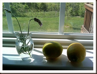 IMG00435-20100418-1446