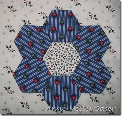 IMG_8855 IMG_8855