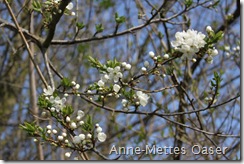 IMG_0176 IMG_0176