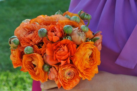 DSC_0870 DSC_0870
