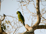 DSCN8827.JPG