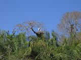 IMG_0517.JPG