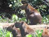 IMG_0563.JPG
