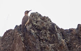 09_08_08_PERU-250.jpg