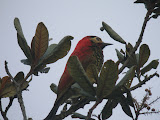 IMG_0849.JPG