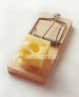 istockphoto_52834-mousetrap.jpg