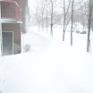 P1090510.JPG