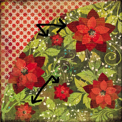 [FlowersStep25.jpg]