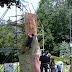 Kletterwand beim Kinderprogramm