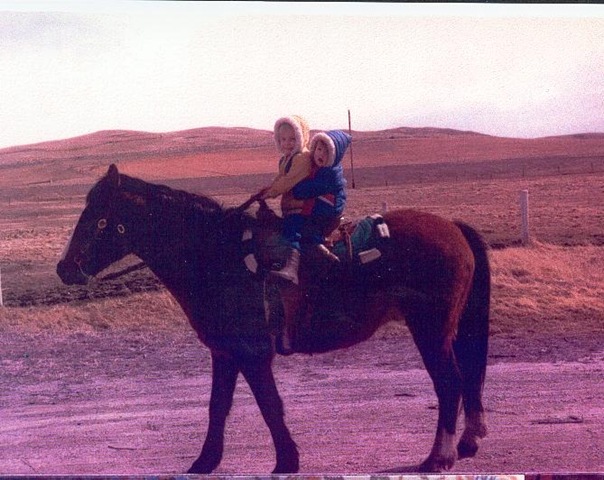 riding horse