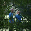 Vergleichswettkampf 2010