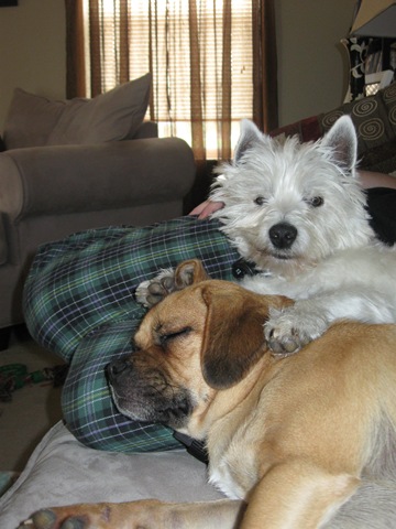 [Snuggle1[2].jpg]