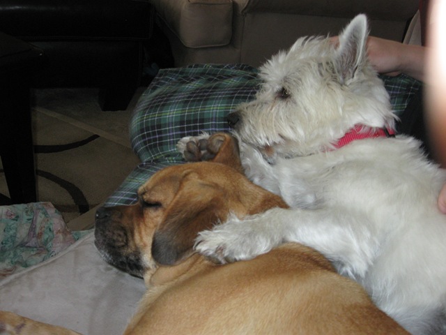 [Snuggle2[2].jpg]