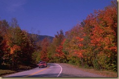 autumn road