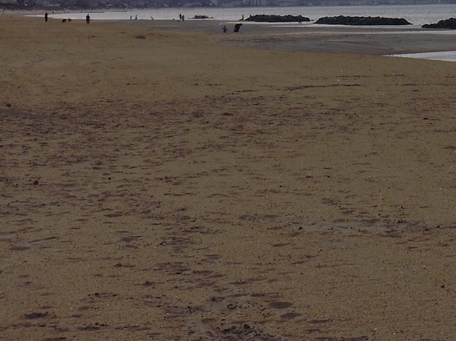 [P41012473.jpg]
