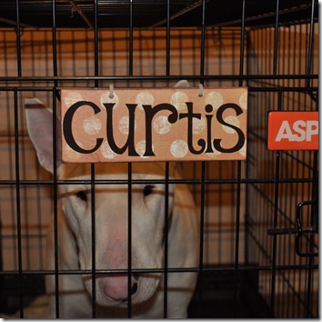DOG KENNEL SIGN 3