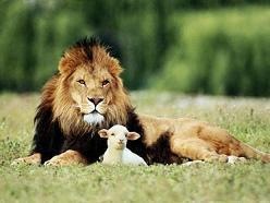 [lion-and-the-lamb[4].jpg]