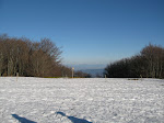 http://lh6.ggpht.com/_Vkwoux6RVCU/R8RYGsuHUEI/AAAAAAAAB5c/4AMbe9l76vw/Vosgesrando%20%28329%29.JPG
