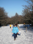 http://lh6.ggpht.com/_Vkwoux6RVCU/R8RYMsuHUGI/AAAAAAAAB5s/p4WSf6IxSTQ/Vosgesrando%20%28334%29.JPG