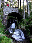 http://lh6.ggpht.com/_Vkwoux6RVCU/R8a1OMuHU2I/AAAAAAAACC0/2-HpYjPdl5M/R3_517.jpg