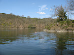 http://lh6.ggpht.com/_Vkwoux6RVCU/SB30a40dBeI/AAAAAAAADQ4/b1tcNU_SjrQ/Sure2008_231.JPG