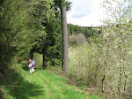 http://lh6.ggpht.com/_Vkwoux6RVCU/SB3vf40dAMI/AAAAAAAADGM/lo0InvmE3IA/Sure2008_133.JPG