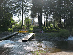 http://lh6.ggpht.com/_Vkwoux6RVCU/SL5xtmmVTpI/AAAAAAAAE9U/A7TVFzi3mK8/WEFlorenville_026.JPG