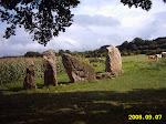 http://lh6.ggpht.com/_Vkwoux6RVCU/SMYW0sptE_I/AAAAAAAAFIo/iNdjtc2UQAo/Erezee%20%28136%29.JPG