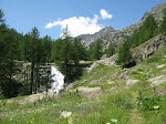 http://lh6.ggpht.com/_Vkwoux6RVCU/SNyfbRckuiI/AAAAAAAAFb4/AQU-ykQepss/MercantourJ8_021.JPG