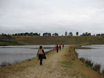 http://lh6.ggpht.com/_Vkwoux6RVCU/SQWkBFoALPI/AAAAAAAAF4Y/0kcTTOAeM1w/CampineKikmolen%20015.jpg