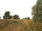 http://lh6.ggpht.com/_Vkwoux6RVCU/SQWkILN8cuI/AAAAAAAAF40/gTgH_FwEo7I/CampineKikmolen%20021.jpg
