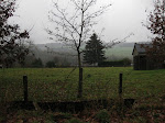 http://lh6.ggpht.com/_Vkwoux6RVCU/SSBwRiDz_PI/AAAAAAAAHds/-zOXtnlsPxA/Pailhe%20035.jpg