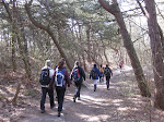 http://lh6.ggpht.com/_Vkwoux6RVCU/Sb4D207wQBI/AAAAAAAAJmQ/Rn0nO0S3wHQ/Zeebrugge%20041.jpg