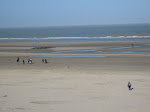 http://lh6.ggpht.com/_Vkwoux6RVCU/Sb4DDrq5ccI/AAAAAAAAJjc/rsX8B68wrLI/Zeebrugge%20007.jpg