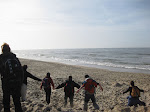 http://lh6.ggpht.com/_Vkwoux6RVCU/Sb4EioG5K0I/AAAAAAAAJoQ/YQWtpOFZ4Kg/Zeebrugge%20063.jpg