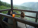 http://lh6.ggpht.com/_Vkwoux6RVCU/Sj6J6_BolwI/AAAAAAAAKqw/uxDML6xjduY/P1020997.JPG