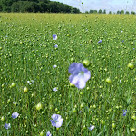 http://lh6.ggpht.com/_Vkwoux6RVCU/Sl2c9aGXl8I/AAAAAAAANjo/GlnjhHAQH7M/02.jpg
