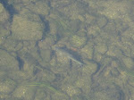 http://lh6.ggpht.com/_Vkwoux6RVCU/SsBni2fuMGI/AAAAAAAAN5k/FZKBIUKbrpg/Montherme%20014.jpg