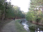 http://lh6.ggpht.com/_Vkwoux6RVCU/Ssme98jF9zI/AAAAAAAAN-8/Rn3EB656ElQ/Walcheren%20030.jpg