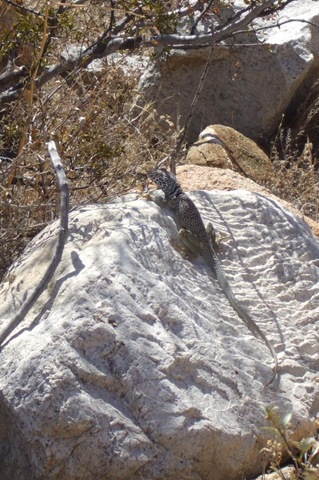 [DSCF0844[4].jpg]